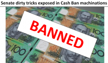 Senate pushes ahead with Cash Ban plan 